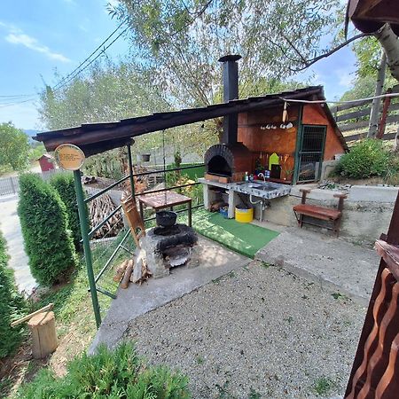 Casa Diana Βίλα Nucşoara Εξωτερικό φωτογραφία